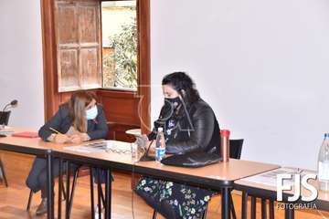 Pleno ordinario de diciembre de 2020/Francisco Javier Santana.